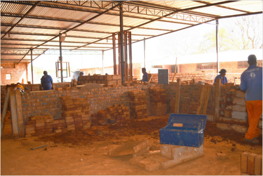The Royal Bafokeng Institute Project